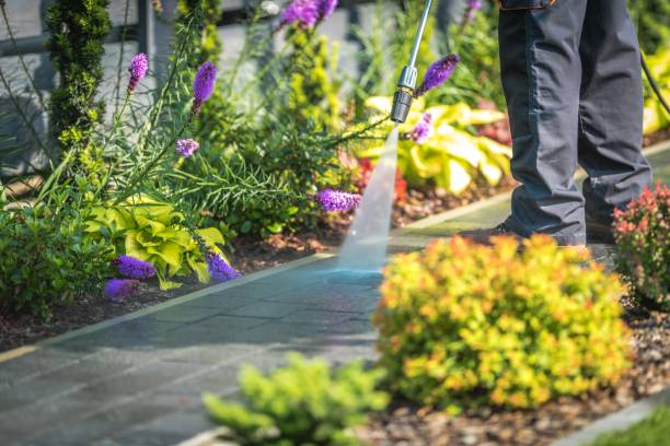 Best Soft Washing  in Ukiah, CA